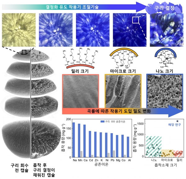 3D 고밀도 아민 밀리캡슐(DMC)의 내부 기공구조의 곡률에 따른 제어된 결정형성 메커니즘. (출처=한국연구재단)