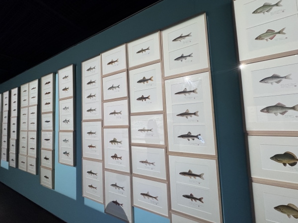 포스코미술관이 자연 생태를 예술의 언어로 기록한 전시를 선보였다. 철강금속신문