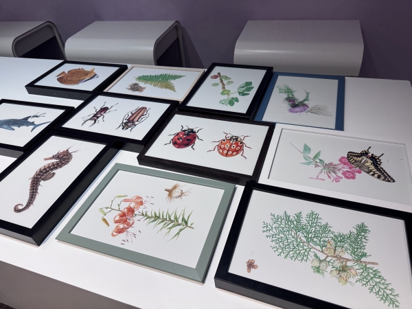 포스코미술관이 자연 생태를 예술의 언어로 기록한 전시를 선보였다. 철강금속신문